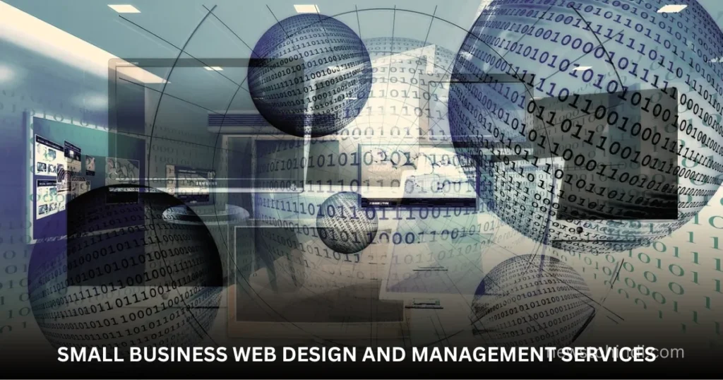 small business web design and management services